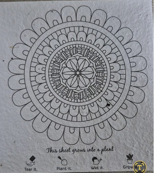 Large Mandala Coloring Book