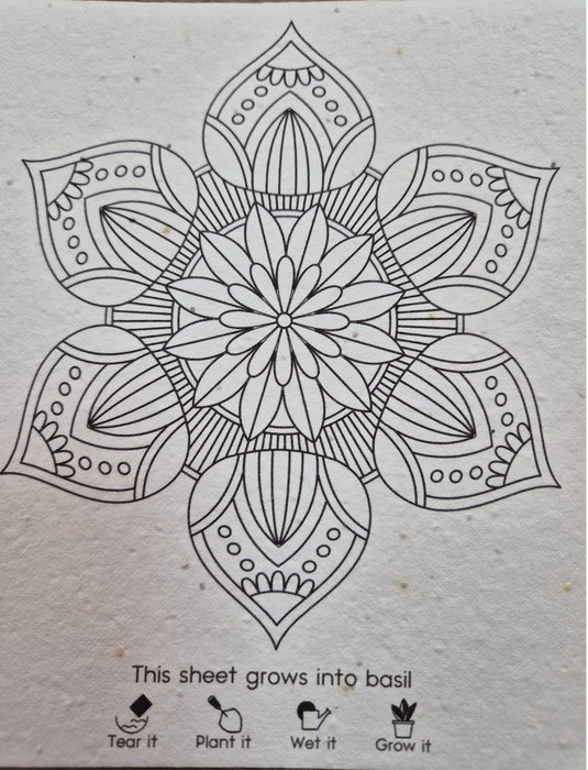 Large Mandala Coloring Book