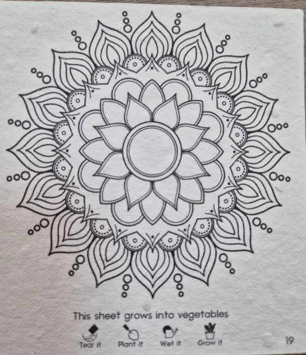 Small Mandala Coloring Book