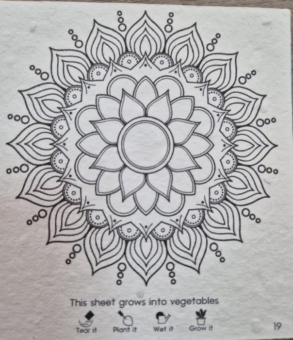 Large Mandala Colouring Book