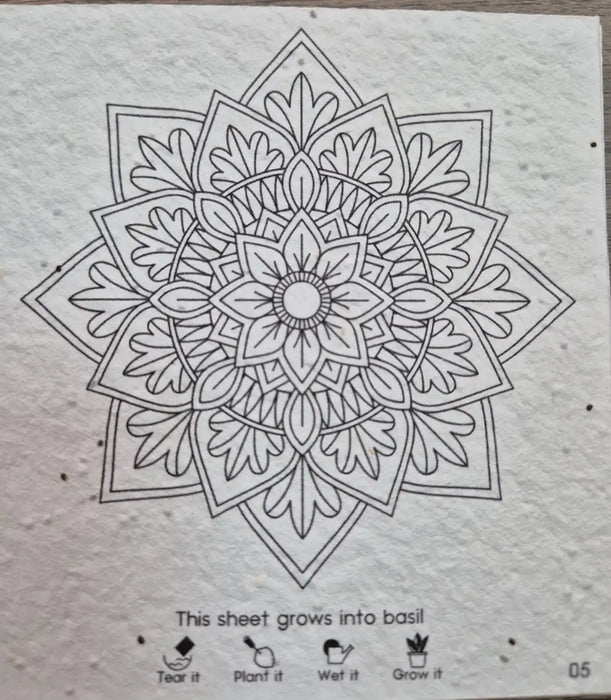 Large Mandala Colouring Book